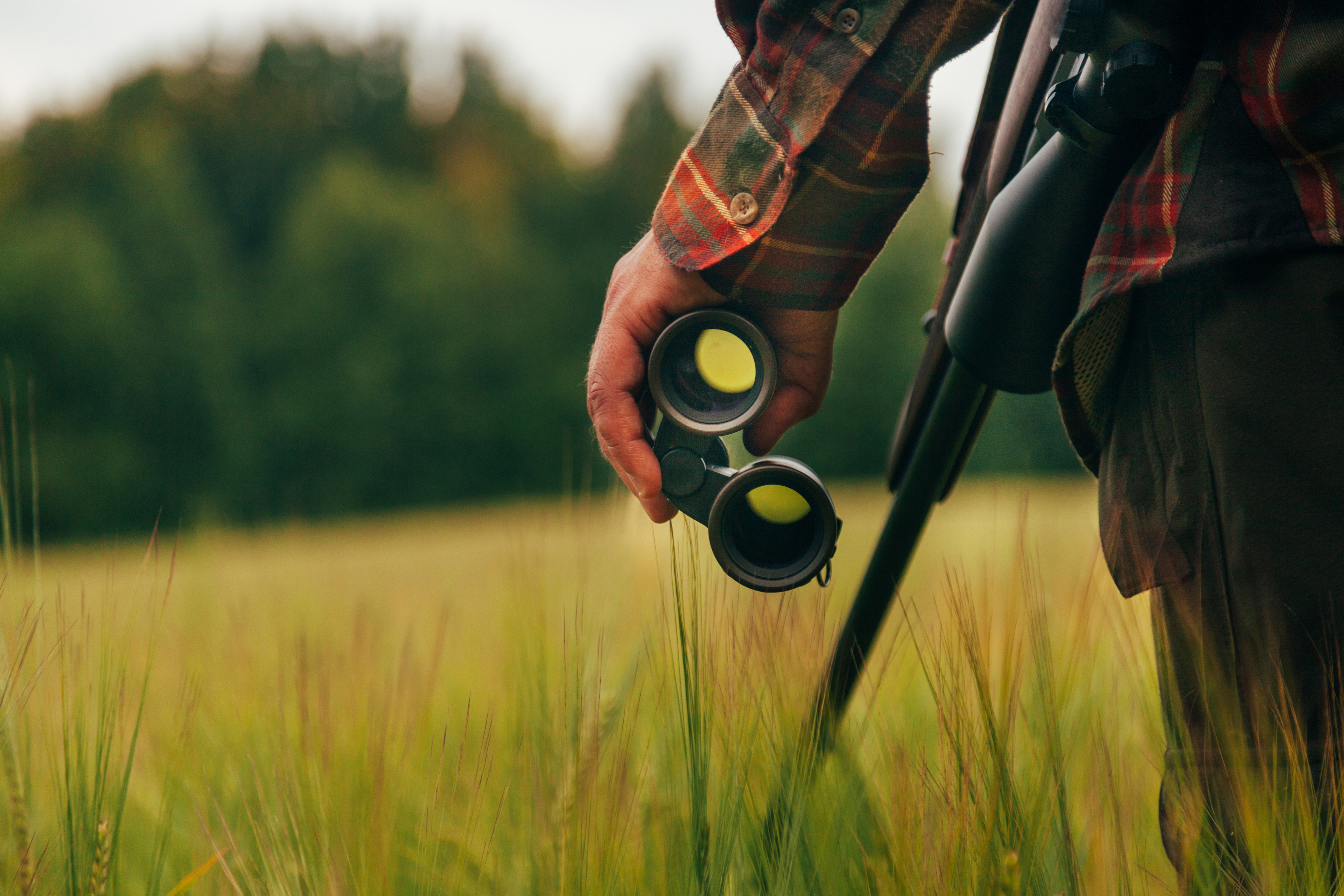 En quoi la vision thermique représente un atout majeur sur le marché de la chasse 