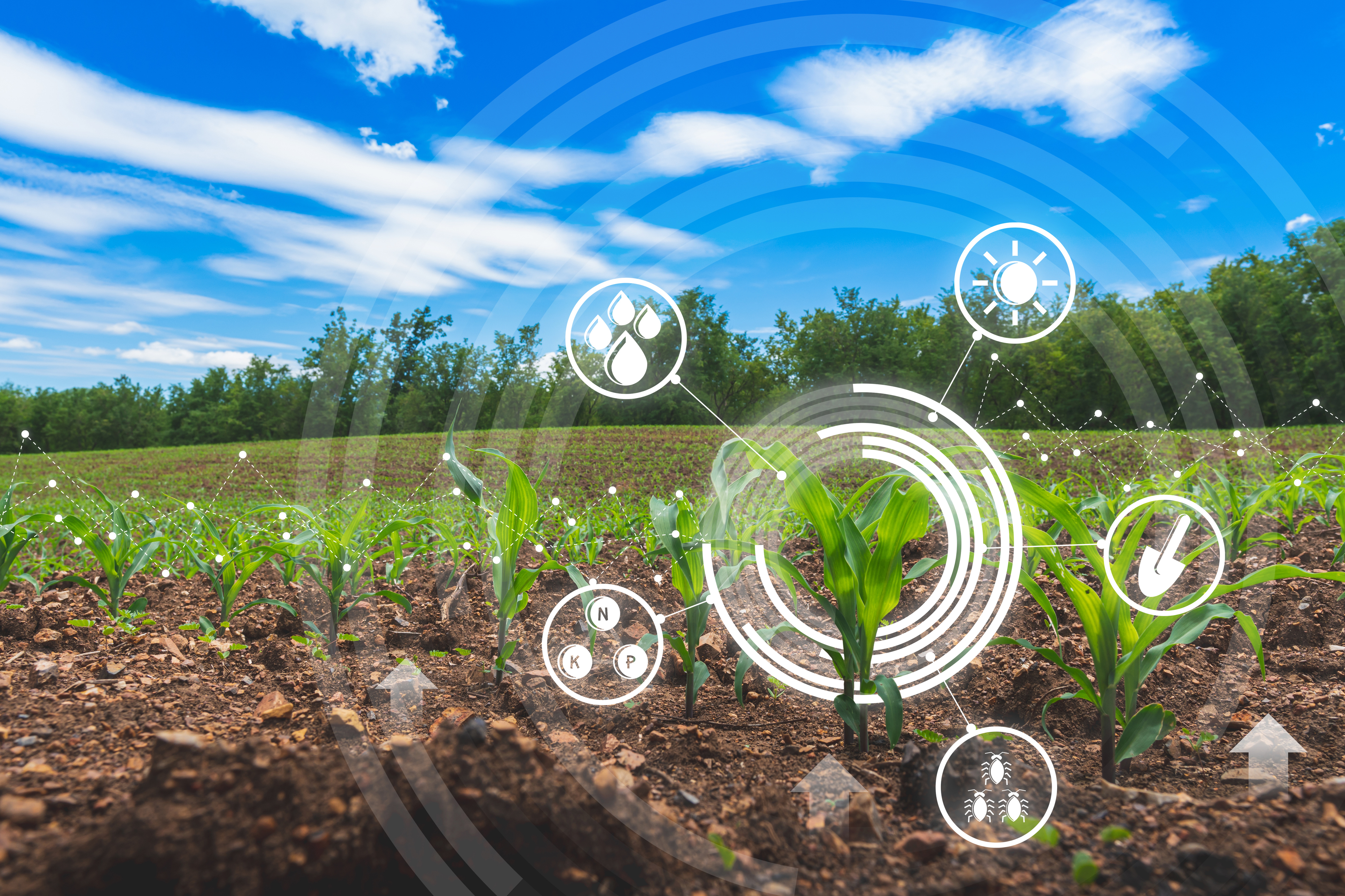 agriculture