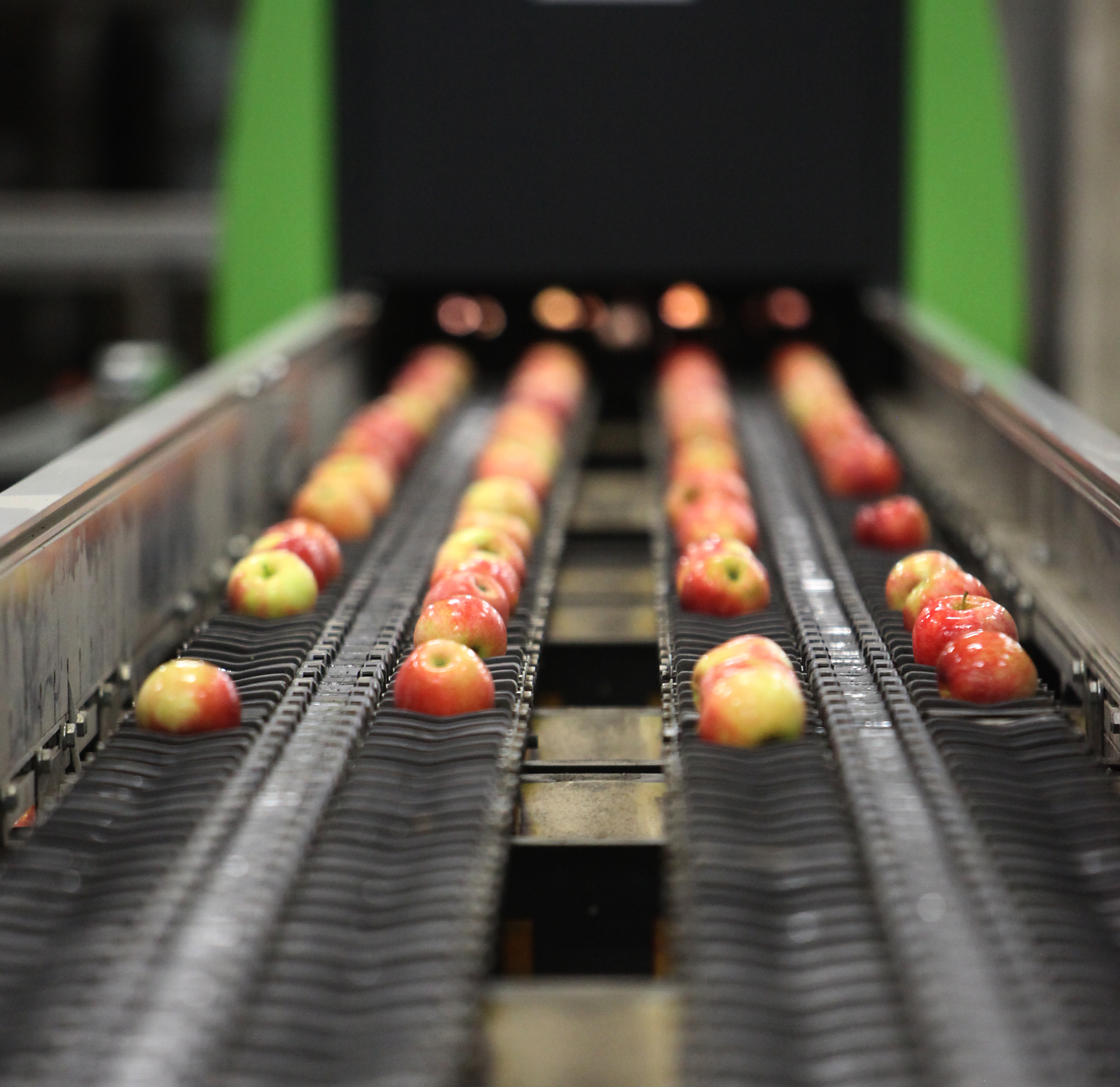 Three reasons for using SWIR infrared imaging to improve quality control in the food and beverage industry