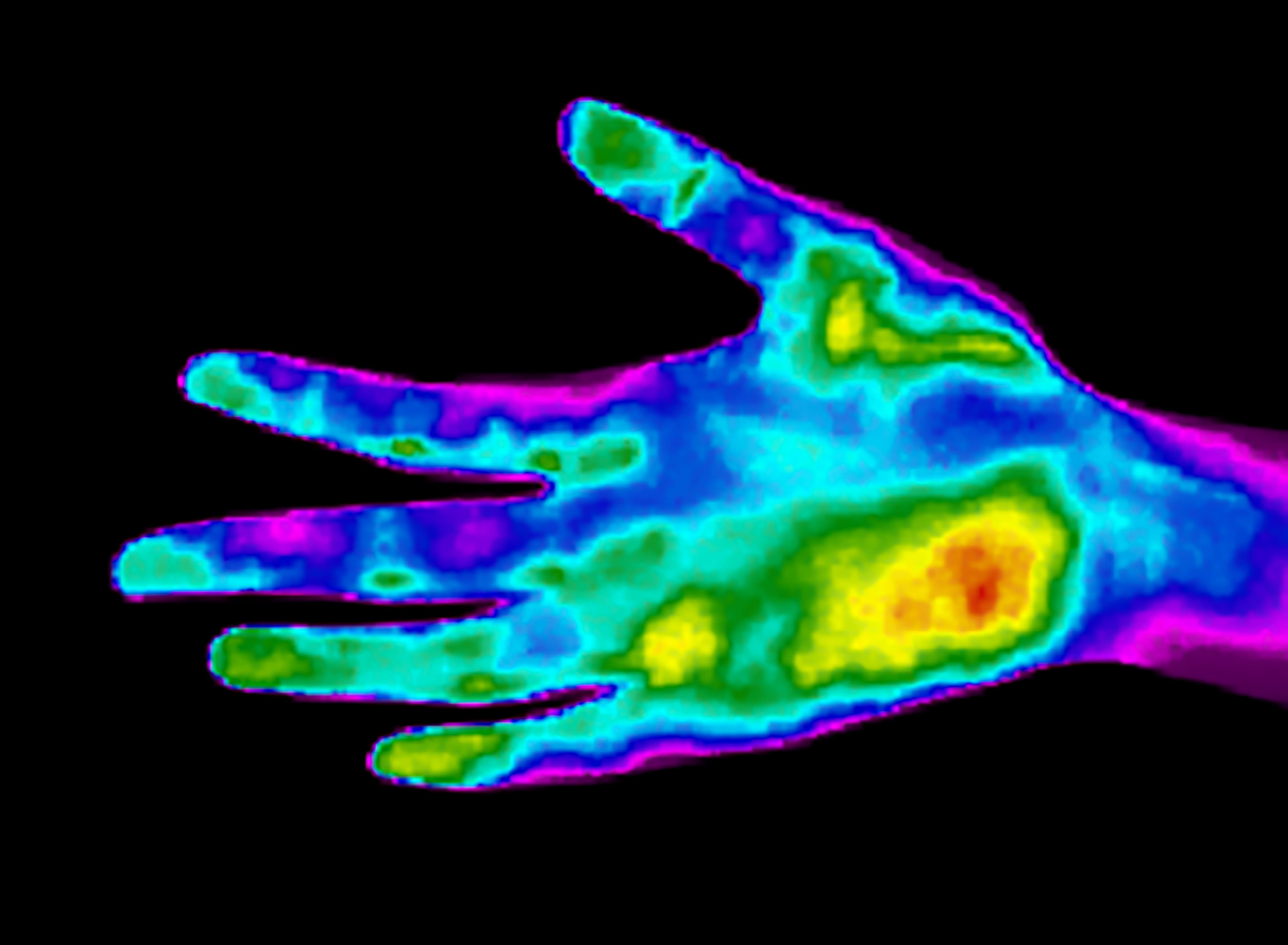 hyperspectral image of the hand
